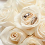 Reception-116